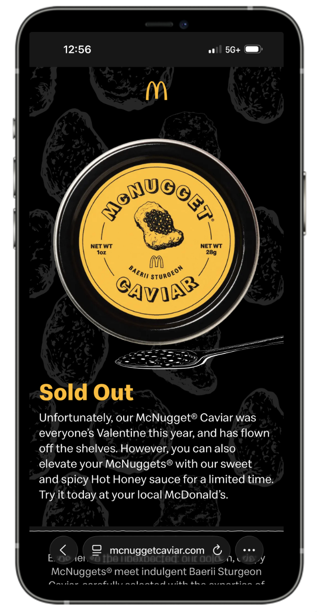 Phone of Website Screen